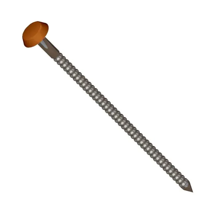 Polytop Nail Brown Stainless Steel 65mm Box 100